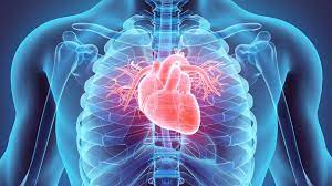 Keperawatan Dewasa Sistem Kardiovaskuler, Respiratori dan Hematologi